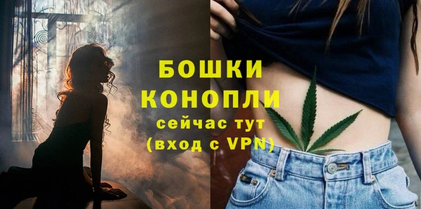 гашик Артём
