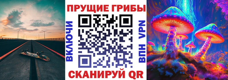 MEGA ссылка  Петушки  мориарти какой сайт  Галлюциногенные грибы прущие грибы 